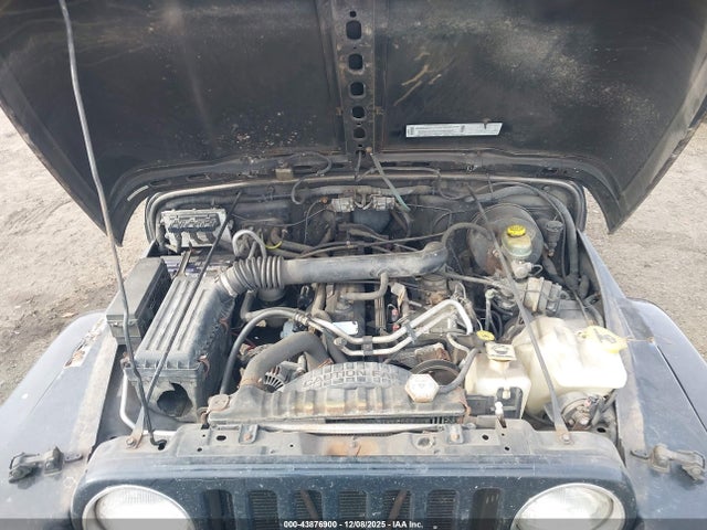 Продажа на аукционе авто 2003 Jeep Wrangler Sahara, vin: 1J4FA59S73P334007, номер лота: 43876900