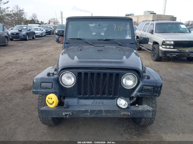 Продажа на аукционе авто 2003 Jeep Wrangler Sahara, vin: 1J4FA59S73P334007, номер лота: 43876900