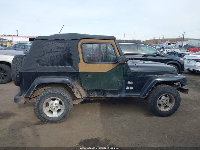 Продажа на аукционе авто 2003 Jeep Wrangler Sahara, vin: 1J4FA59S73P334007, номер лота: 43876900