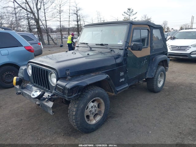 Продажа на аукционе авто 2003 Jeep Wrangler Sahara, vin: 1J4FA59S73P334007, номер лота: 43876900