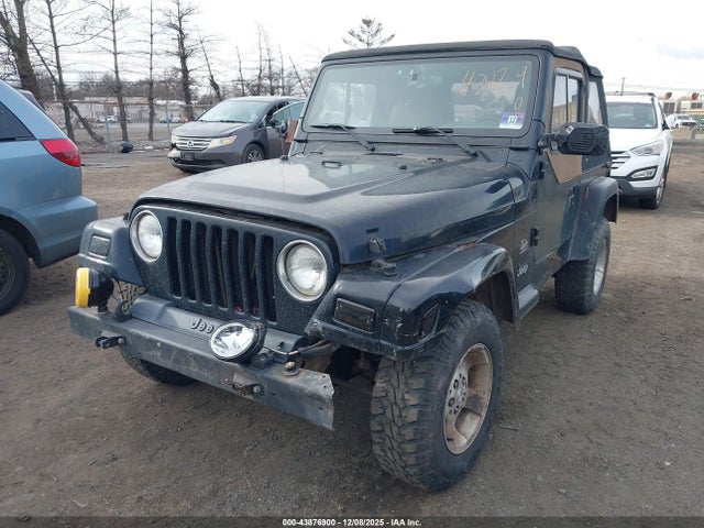Продажа на аукционе авто 2003 Jeep Wrangler Sahara, vin: 1J4FA59S73P334007, номер лота: 43876900