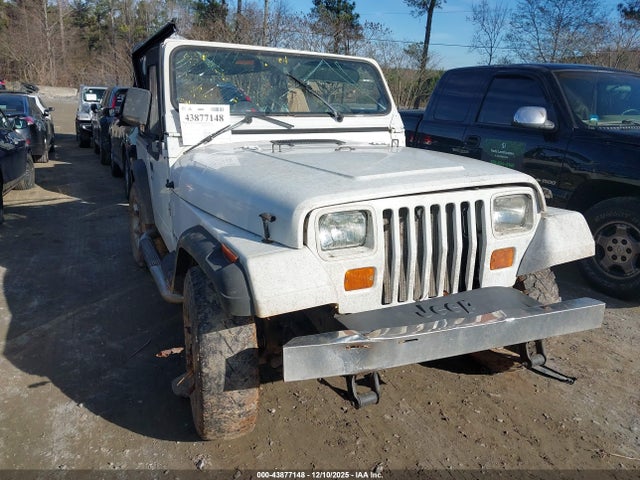 1994 JEEP WRANGLER / YJ 1J4FY19P3RP455674
