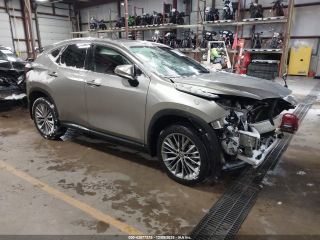 2023 LEXUS NX 350 2T2GGCEZ0PC017136