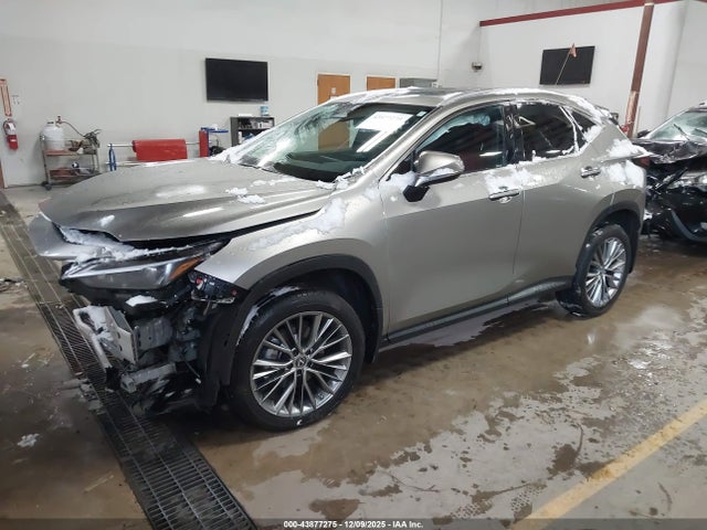 2023 LEXUS NX 350 2T2GGCEZ0PC017136 Photo 1