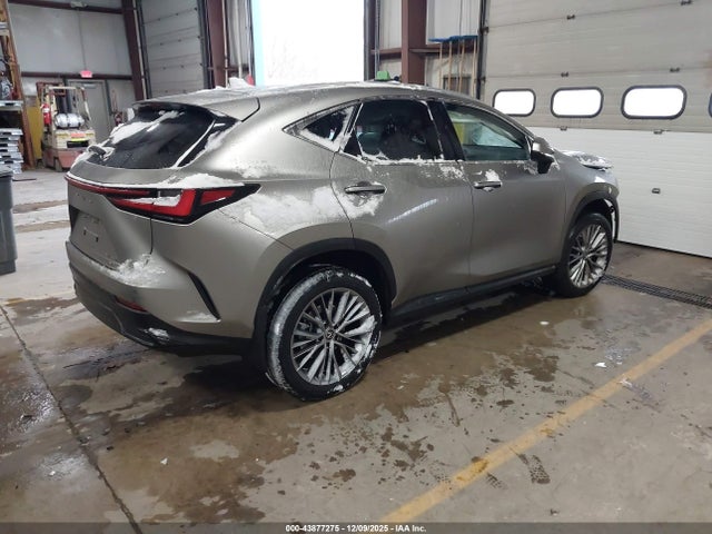 2023 LEXUS NX 350 2T2GGCEZ0PC017136 Photo 3
