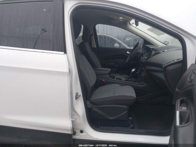 2019 FORD ESCAPE 1FMCU0GD4KUB57144 Photo 4