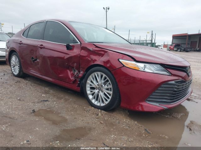 2019 TOYOTA CAMRY 4T1B11HK1KU793429