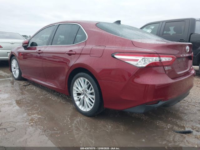 2019 TOYOTA CAMRY 4T1B11HK1KU793429 Photo 2