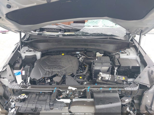 2025 Kia Telluride Ex X-line მანქანა იყიდება აუქციონზე, vin: 5XYP3DGC3SG679613, აუქციონის ნომერი: 43878524