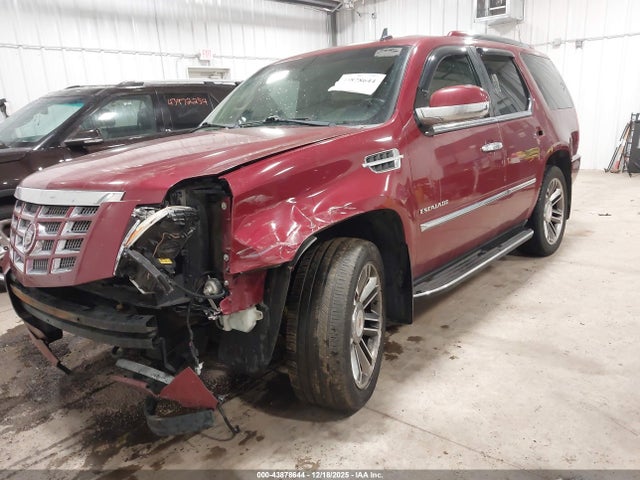 2010 CADILLAC ESCALADE 1GYUKAEF8AR101759 Photo 1