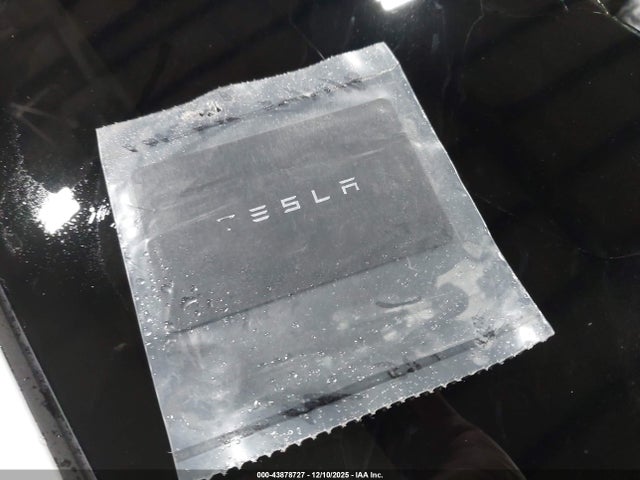 2025 TESLA MODEL 3 5YJ3E1EA5SF022375 Photo 10