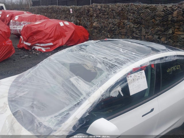 2025 TESLA MODEL 3 5YJ3E1EA5SF022375 Photo 5