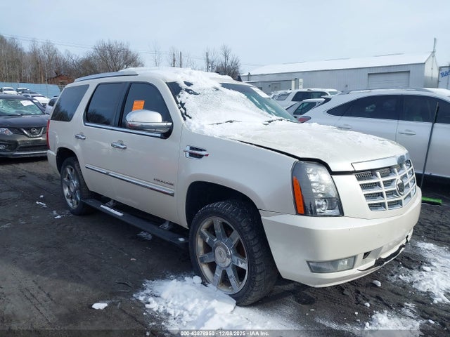 2010 CADILLAC ESCALADE 1GYUKCEF9AR266537 Photo 0