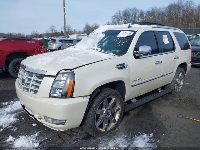2010 CADILLAC ESCALADE 1GYUKCEF9AR266537 Photo 1
