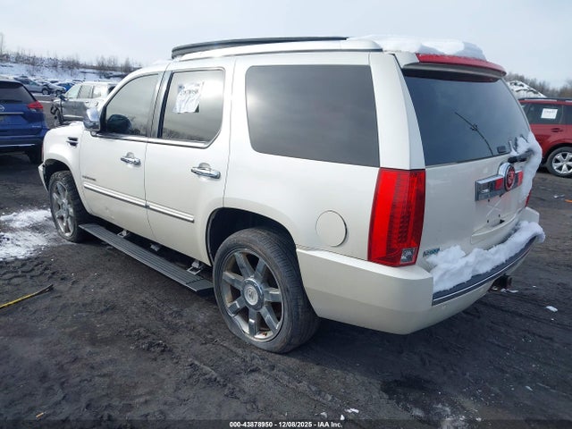2010 CADILLAC ESCALADE 1GYUKCEF9AR266537 Photo 2