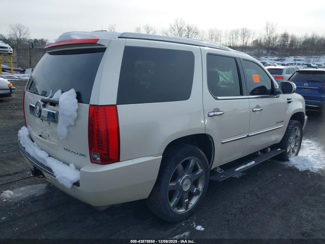 2010 CADILLAC ESCALADE 1GYUKCEF9AR266537 Photo 3