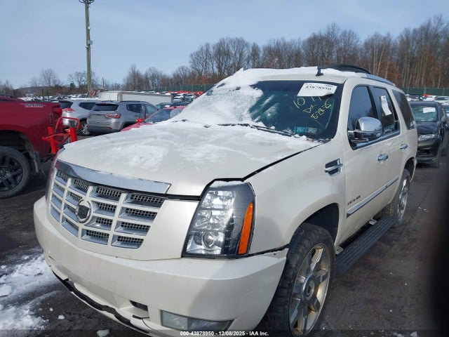 2010 CADILLAC ESCALADE 1GYUKCEF9AR266537 Photo 5