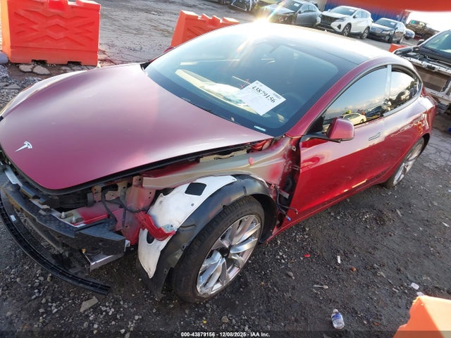 2025 TESLA MODEL 3 5YJ3E1EA6SF968713 Photo 1