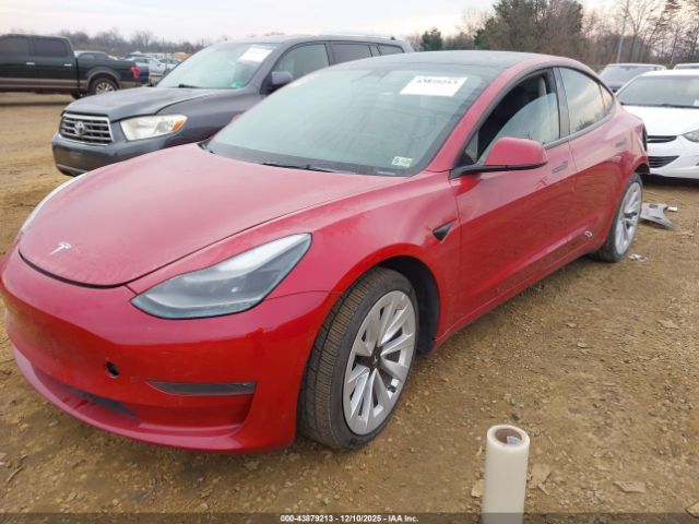 2022 TESLA MODEL 3 5YJ3E1EB5NF192345 Photo 1