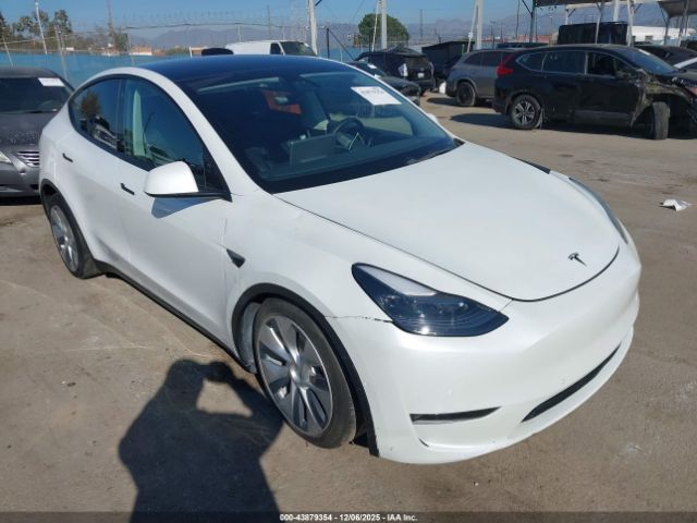2021 TESLA MODEL Y 5YJYGDEE5MF072572