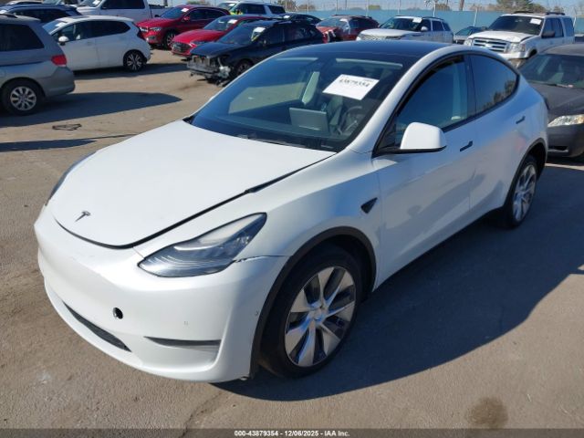 2021 TESLA MODEL Y 5YJYGDEE5MF072572 Photo 1