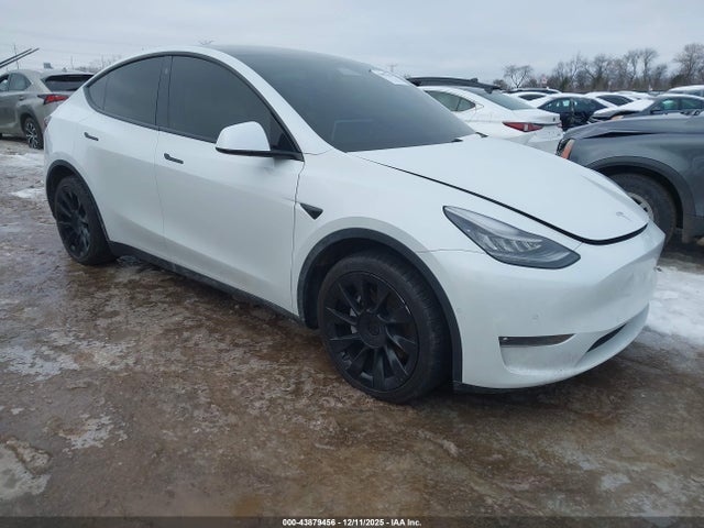 2021 TESLA MODEL Y 5YJYGDEE3MF102507 Photo 0