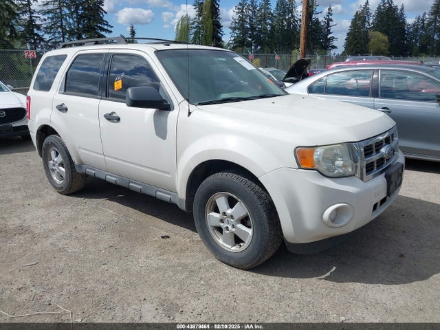 2009 FORD ESCAPE 1FMCU03G19KA58092