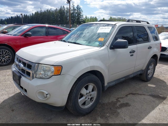 2009 FORD ESCAPE 1FMCU03G19KA58092 Photo 1