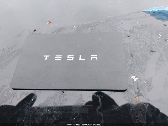 2024 TESLA MODEL 3 5YJ3E1EBXRF825511 Photo 10
