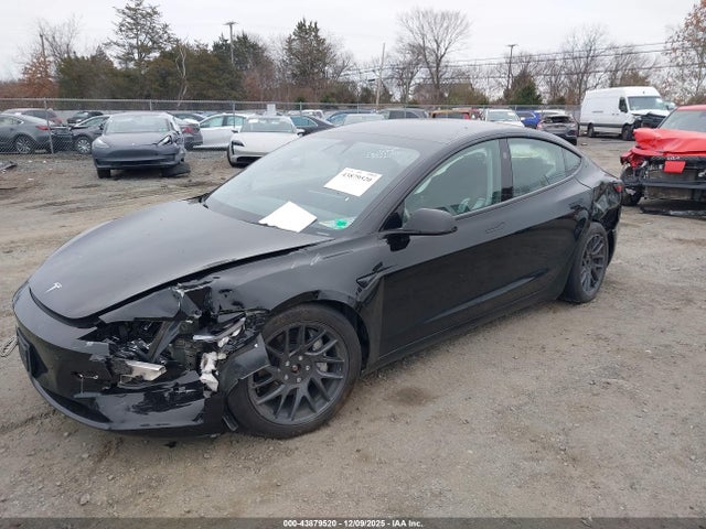 2024 TESLA MODEL 3 5YJ3E1EBXRF825511 Photo 1
