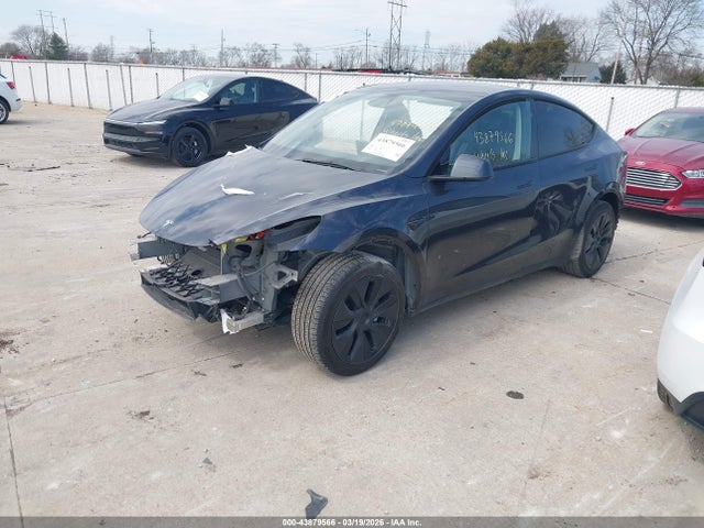 Продажа на аукционе авто 2025 Tesla Model Y Long Range Dual Motor All-wheel Drive, vin: 7SAYGDEE6SF318500, номер лота: 43879566