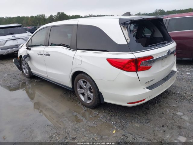 2019 HONDA ODYSSEY 5FNRL6H74KB090387 Photo 2