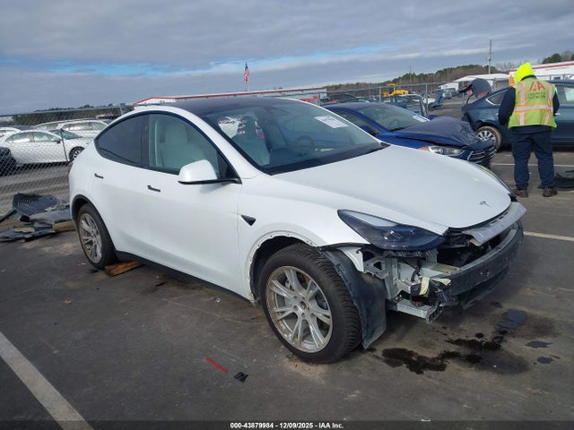 2023 TESLA MODEL Y 7SAYGAEE4PF856425 Photo 0