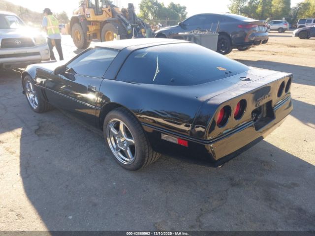1984 CHEVROLET CORVETTE 1G1AY078XE5103034 Photo 2