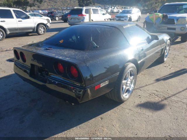 1984 CHEVROLET CORVETTE 1G1AY078XE5103034 Photo 3
