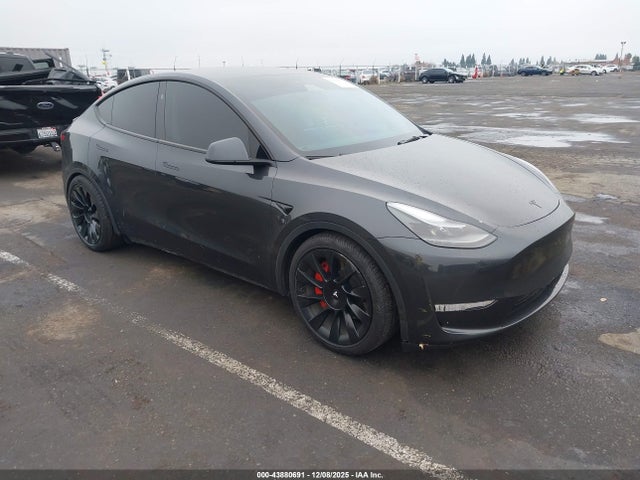 2024 TESLA MODEL Y 7SAYGDEEXRF004603 Photo 0