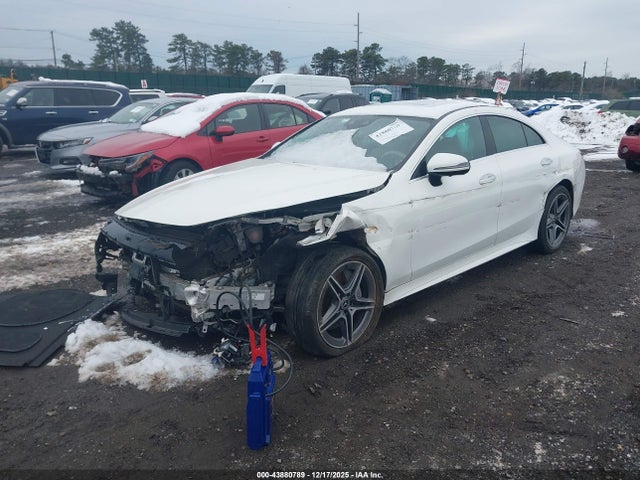 2019 MERCEDES-BENZ CLS 450 WDD2J5KB7KA040774 Photo 1