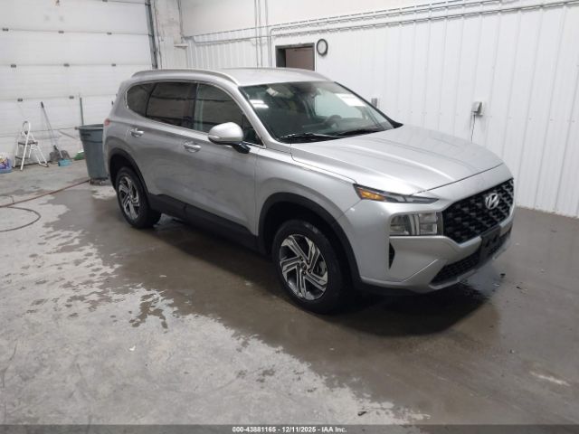 2023 HYUNDAI SANTA FE 5NMS2DAJ2PH559559