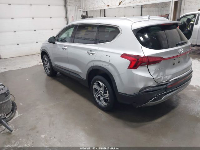 2023 HYUNDAI SANTA FE 5NMS2DAJ2PH559559 Photo 2