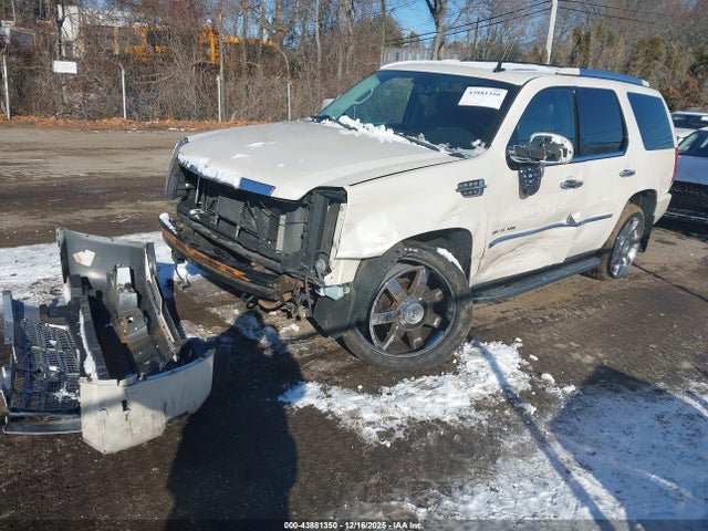 2010 CADILLAC ESCALADE 1GYUKCEF7AR279741 Photo 1