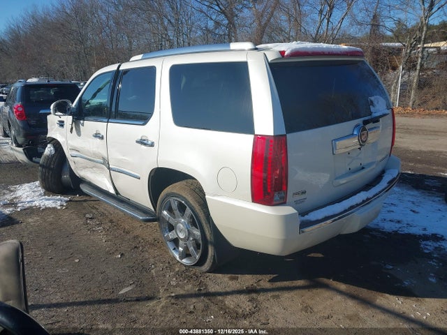 2010 CADILLAC ESCALADE 1GYUKCEF7AR279741 Photo 2
