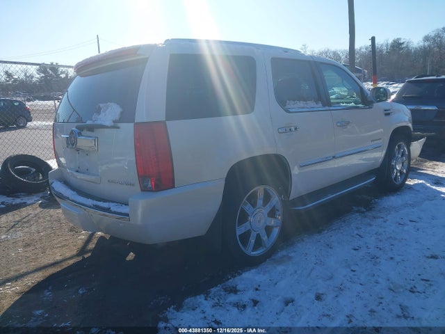 2010 CADILLAC ESCALADE 1GYUKCEF7AR279741 Photo 3