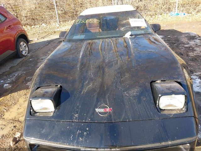 1989 CHEVROLET CORVETTE 1G1YY3180K5113320 Photo 9
