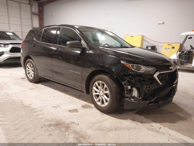 Chevrolet EQUINOX LS 2019 2GNAXHEV1K6162398 zdjęcie główne