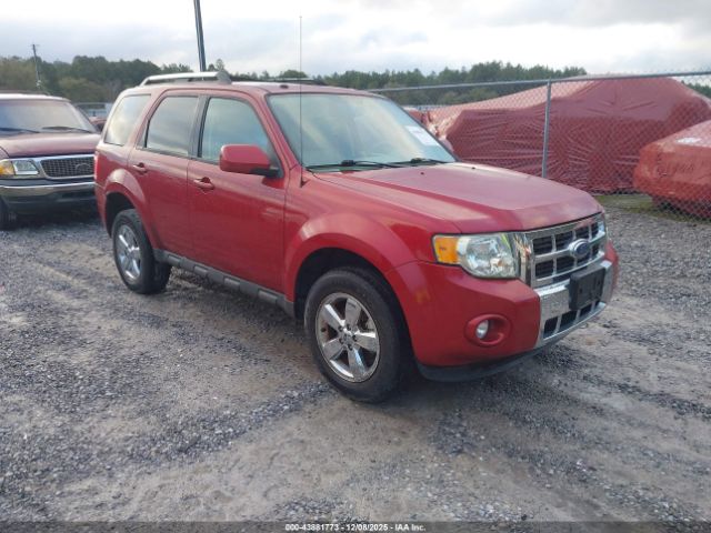 2009 FORD ESCAPE 1FMCU04GX9KB29384
