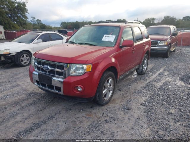 2009 FORD ESCAPE 1FMCU04GX9KB29384 Photo 1