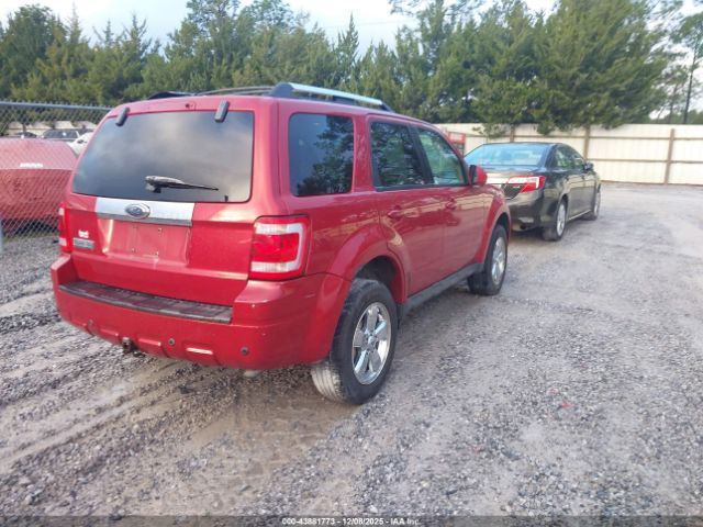 2009 FORD ESCAPE 1FMCU04GX9KB29384 Photo 3
