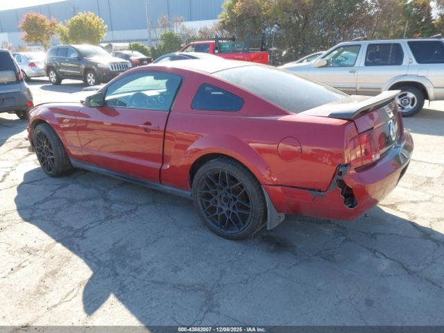2008 FORD MUSTANG 1ZVHT80N985116166 Photo 2