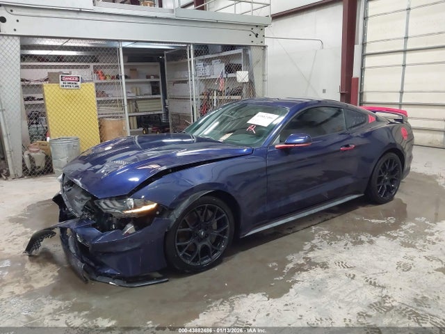 Ford Mustang Ecoboost 2018 1FA6P8TH3J5175620 Image 2