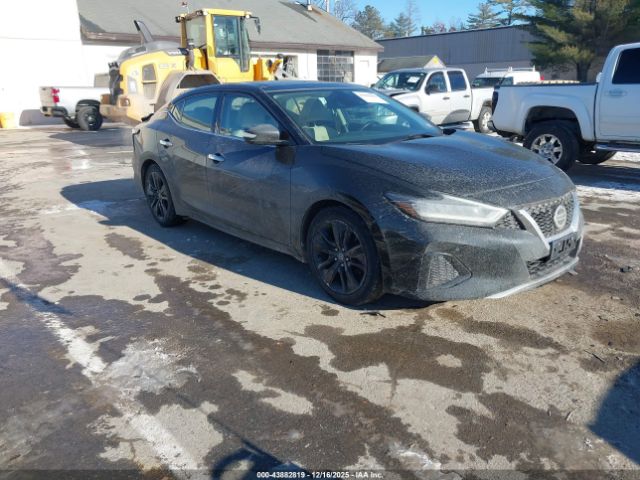 2020 NISSAN MAXIMA 1N4AA6DV5LC373537